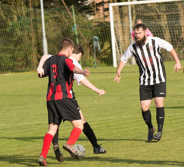 【海星体育】NBA直播-英超直播-CBA直播_海星TV_海星体育高清赛事观看在线观看