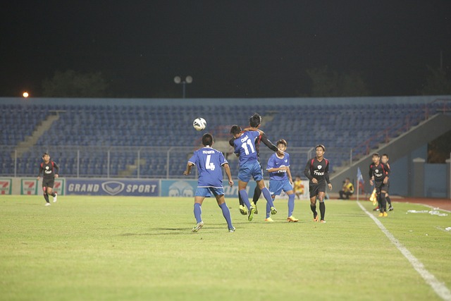 迷的批評 迷的批評