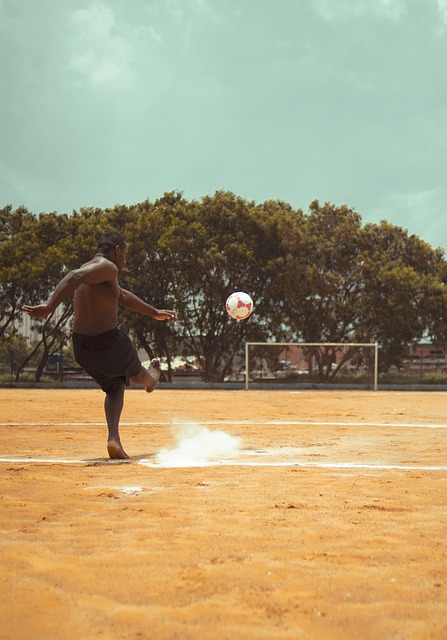他们将在各 他们将在各