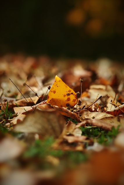 段已经大大 段已经大大