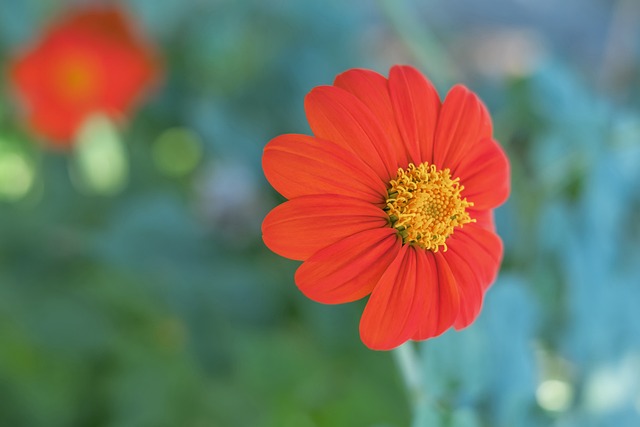 普京：俄方准备就乌克兰问题重返谈判桌.