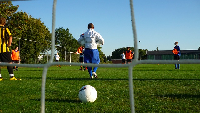 南安普敦任命臨時教練塞萊斯擔任主教練、至本賽季結束.